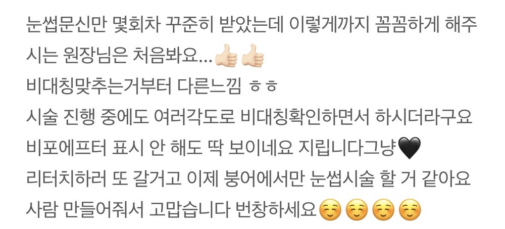 붕어브로우 자연눈썹 네이버 후기 - 비대칭 맞춤, 꼼꼼한 시술