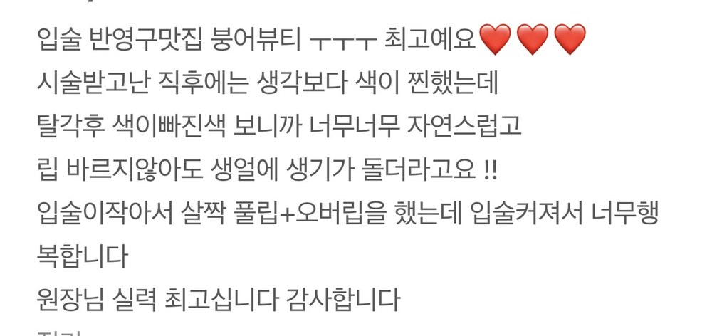 붕어브로우 입술문신 네이버 후기 - 자연스러운 발색, 만족